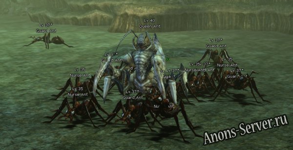 queen-ant queen-ant